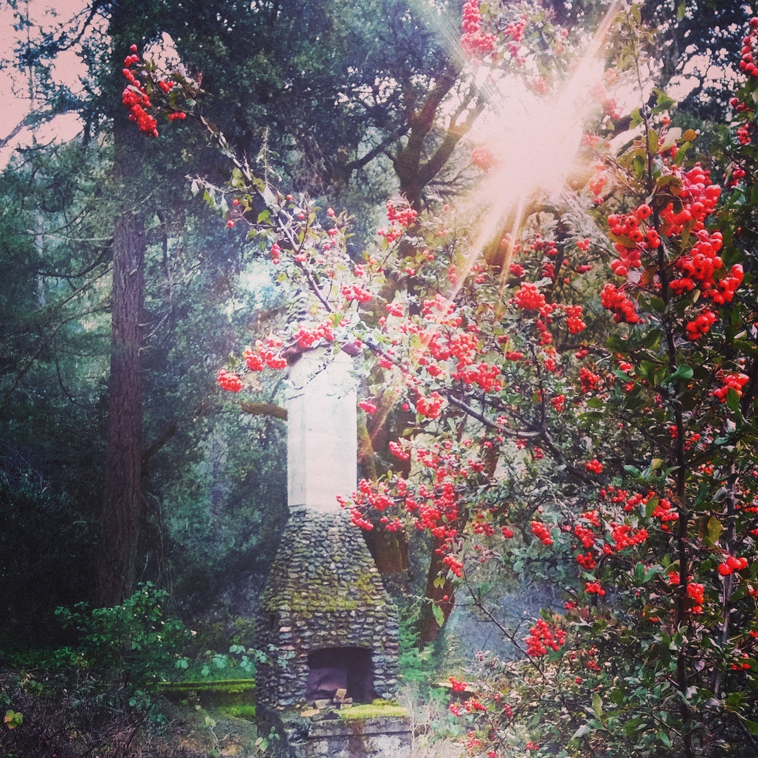 Why It’s Called Flower & Bone Supply: A Food-Based, Herbal Skincare Origin Story